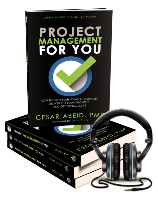Project Management for You (Audio Book)